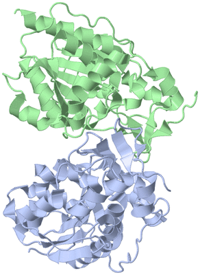 Image Biological Unit 9