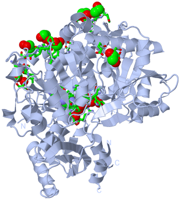 Image Biol. Unit 1 - sites