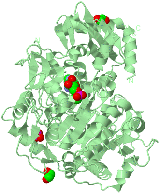 Image Biological Unit 2