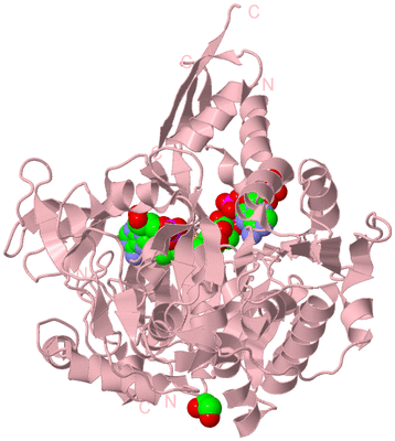 Image Biological Unit 3