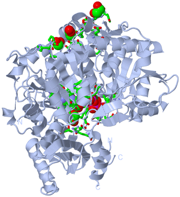 Image Biol. Unit 1 - sites