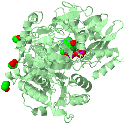 Image Biological Unit 2