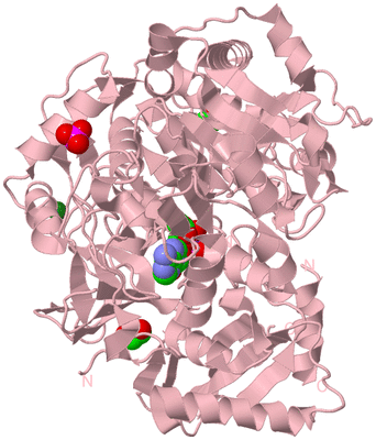 Image Biological Unit 3