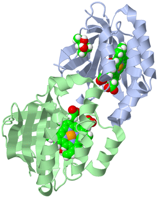 Image Biological Unit 1