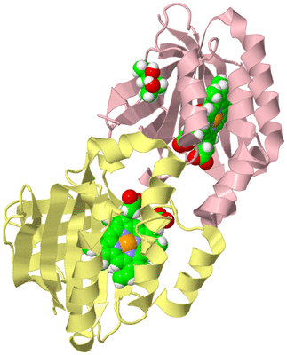 Image Biological Unit 2