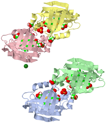 Image Biological Unit 1