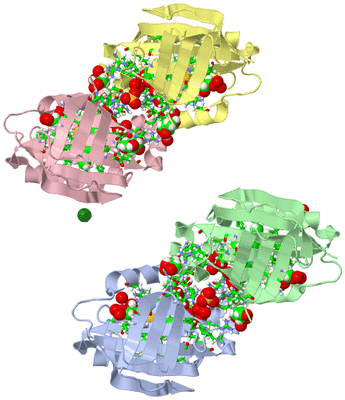 Image Biol. Unit 1 - sites