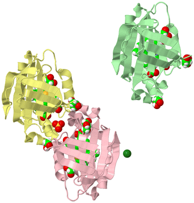 Image Biological Unit 2