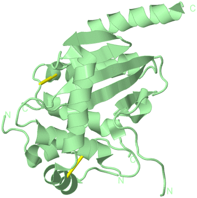 Image Biological Unit 1