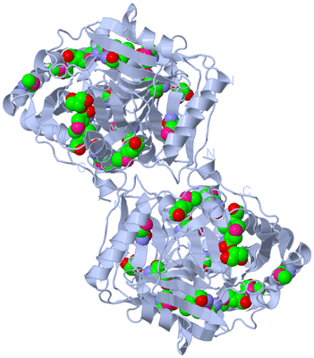 Image Biological Unit 1