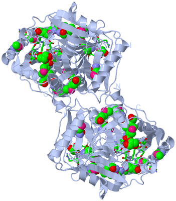 Image Biol. Unit 1 - sites