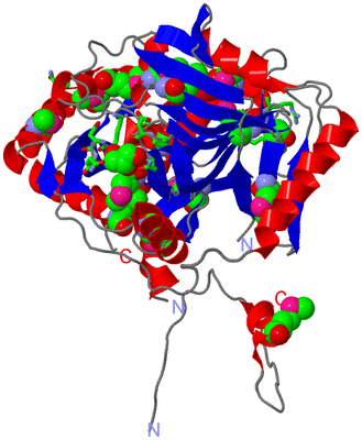 Image Asym. Unit - sites