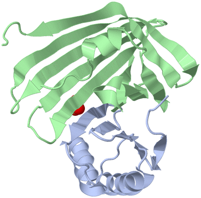 Image Biological Unit 1