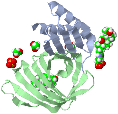 Image Biological Unit 1