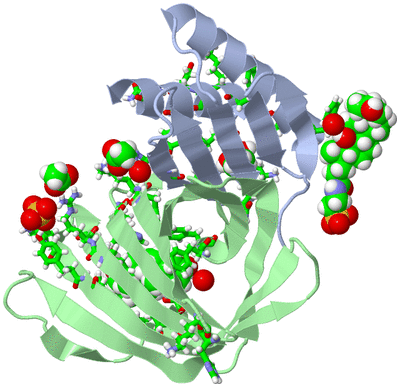 Image Biol. Unit 1 - sites