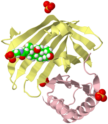 Image Biological Unit 2