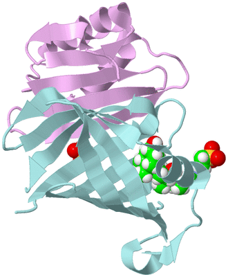 Image Biological Unit 3