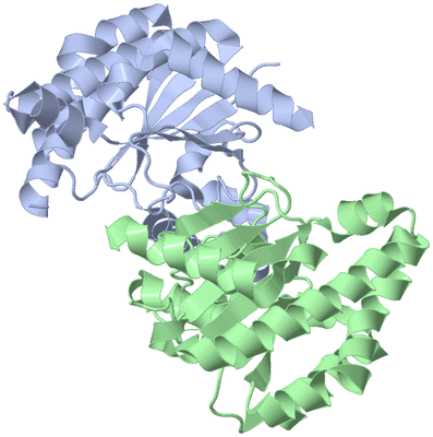 Image Biological Unit 1