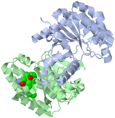 Image Asym./Biol. Unit