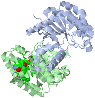 Image Asym./Biol. Unit - sites