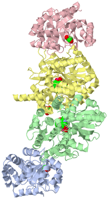 Image Asym./Biol. Unit