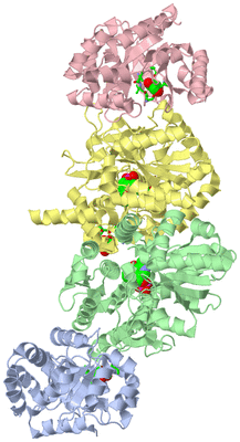 Image Asym./Biol. Unit - sites