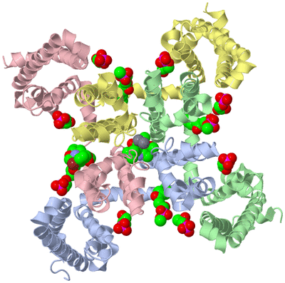 Image Asym./Biol. Unit