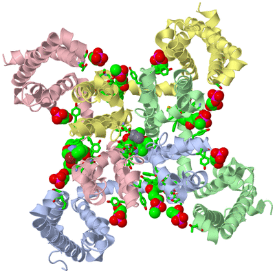 Image Asym./Biol. Unit - sites