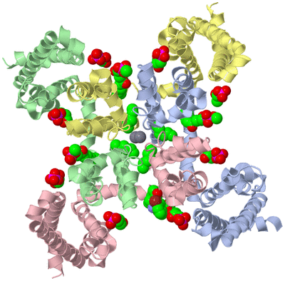 Image Asym./Biol. Unit