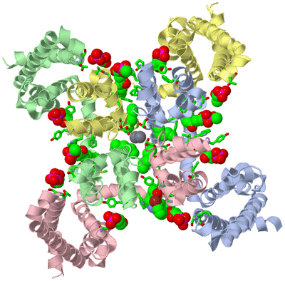 Image Asym./Biol. Unit - sites