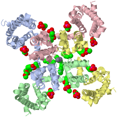 Image Asym./Biol. Unit