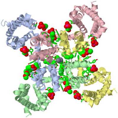 Image Asym./Biol. Unit - sites