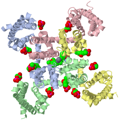 Image Asym./Biol. Unit