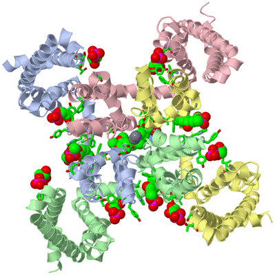 Image Asym./Biol. Unit - sites