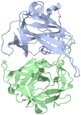 Image Biological Unit 1