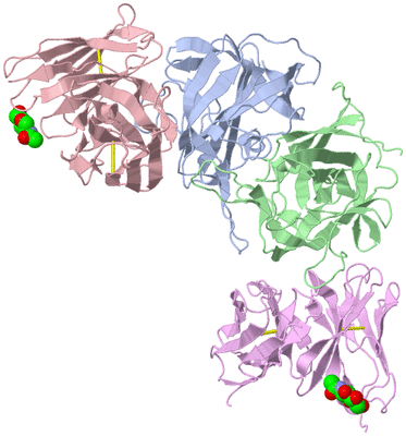 Image Biological Unit 1