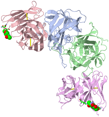 Image Biol. Unit 1 - sites