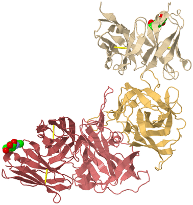 Image Biological Unit 2