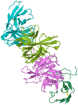 Image Biological Unit 3