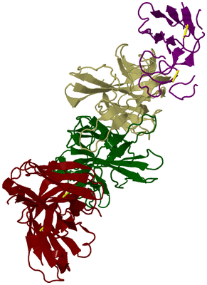 Image Biological Unit 4