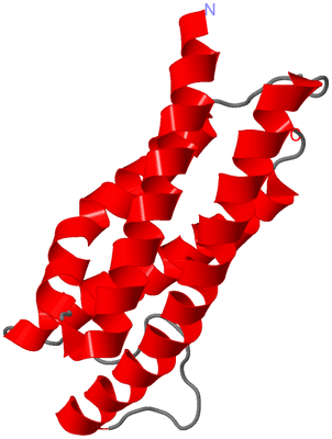 Image NMR Structure - model 1