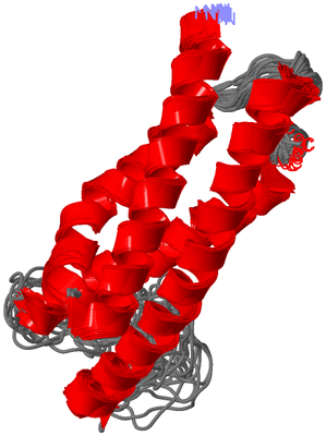 Image NMR Structure - all models