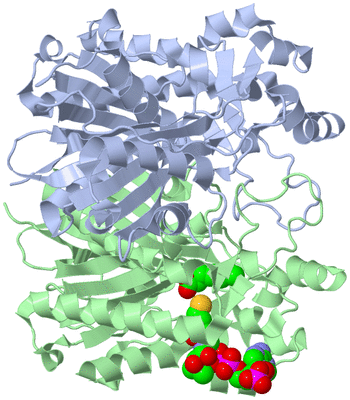 Image Asym./Biol. Unit