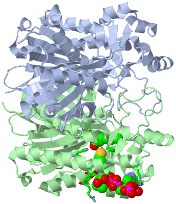 Image Asym./Biol. Unit - sites