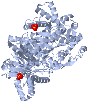 Image Biological Unit 1