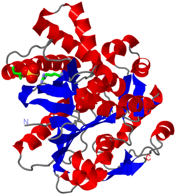 Image Asym. Unit - sites