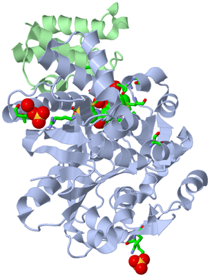 Image Asym./Biol. Unit - sites