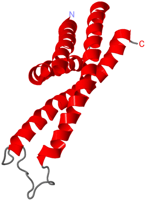 Image NMR Structure - model 1