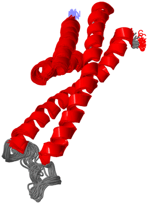 Image NMR Structure - all models