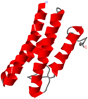 Image NMR Structure - model 1